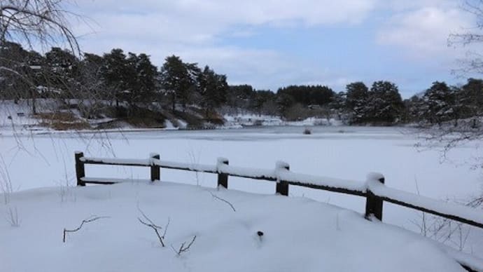 T公園散歩