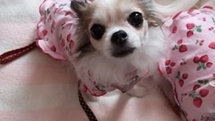 たぁたん