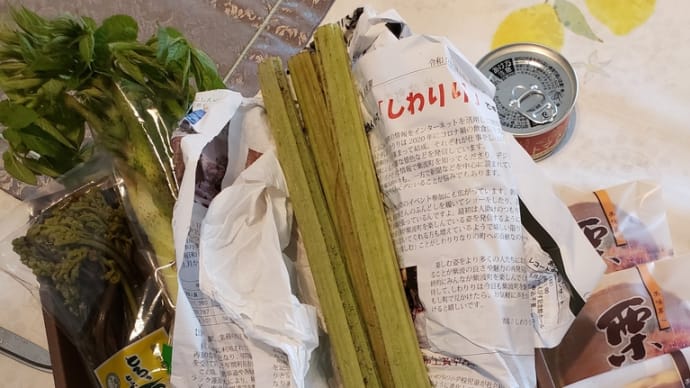 山菜便り、第2弾!!