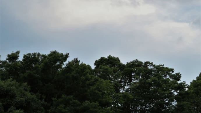 強い雨の日曜日。そして昨日の続き♪