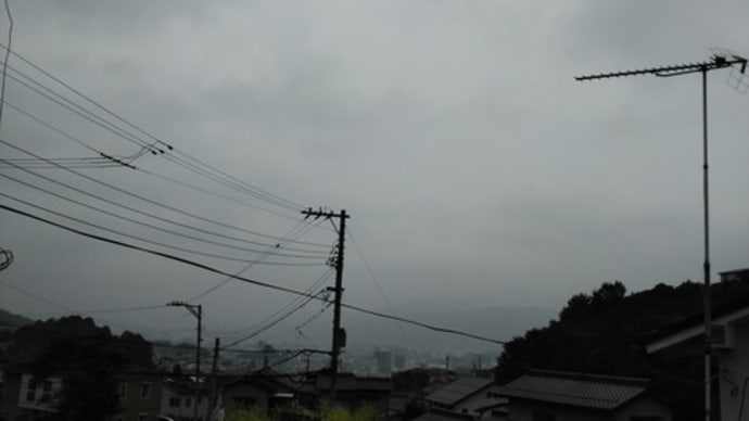 どなたかの言葉 昨夜はムシムシでした;