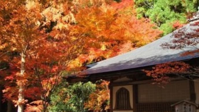 高山寺と鳥獣人物戯画の思い出