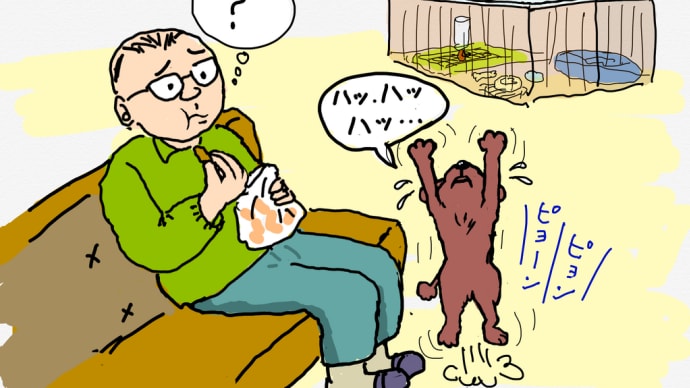 モコ助が伝えたかったこと・・