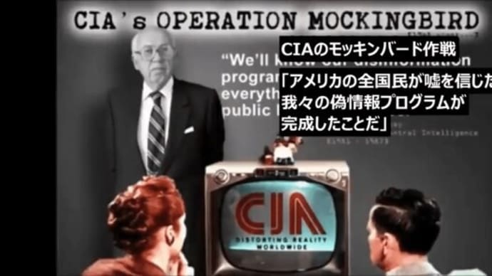 モッキングバード作戦