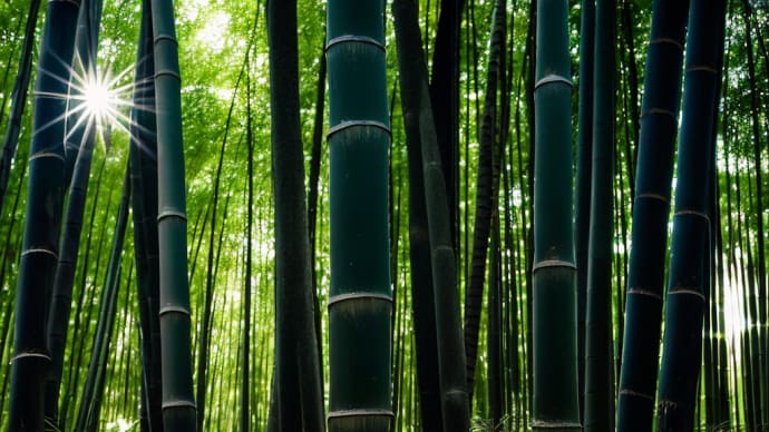 🌿想像を超越する世界だ!/幻想的/その1