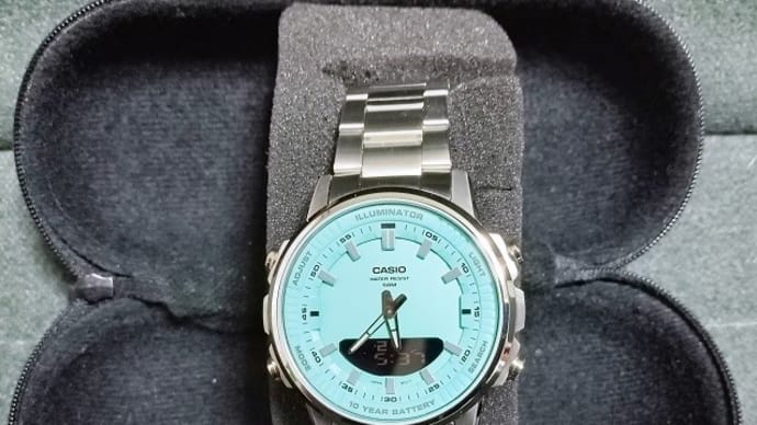 CASIO スタンダード AMW-880D-2A2を購入しました。