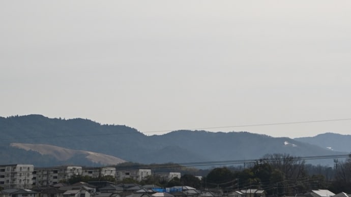 梅一輪一輪ほどの暖かさ?