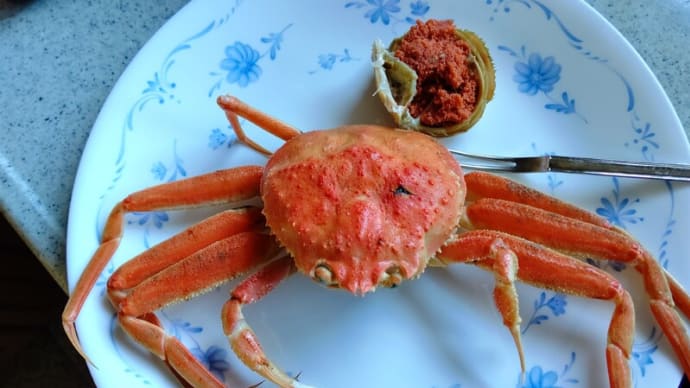 孫たちと今年最初のセイコガニ!
