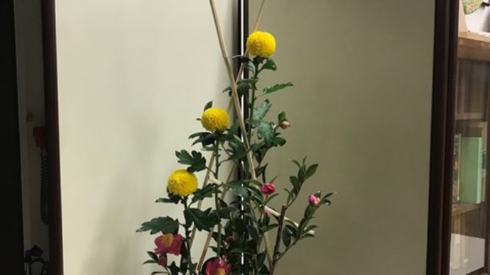 181109 作楽会 いけばな 草月流 99-② オガラ・サザンカ・菊、玄関・縦長の構成