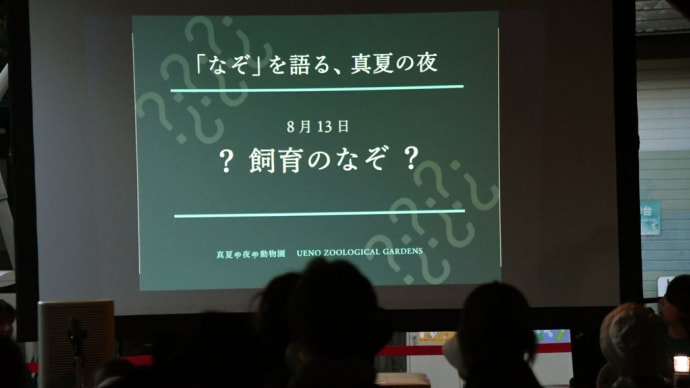 夜の動物園 今年のテーマは なぞ