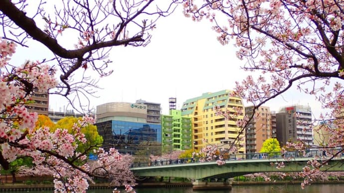 今年のお花見ツアーは・・・