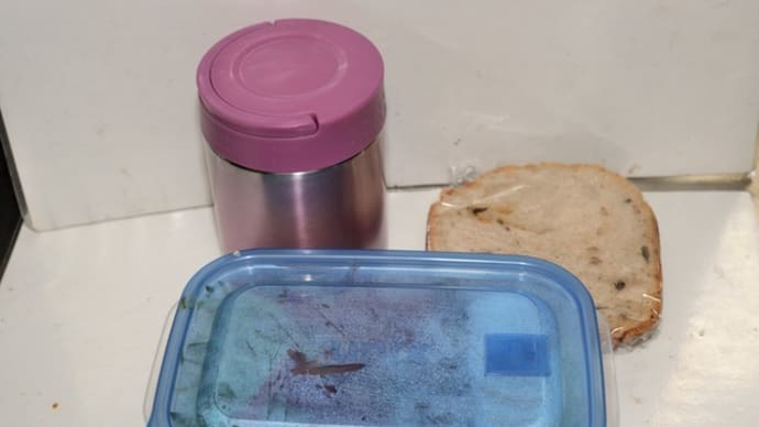 何から何まで手作り、ちょっとやり過ぎ弁当