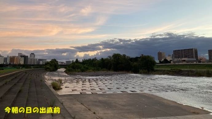 らんも行きました!