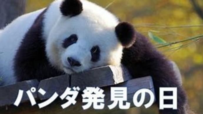 【支持率急落】麻生・岸田・茂木氏で石破おろし準備か?石破首相への怒りで連携開始?NHK世論調査で内閣支持率が全世代で急落!103万円の壁与党案が評価されず!( `ー´)ノ