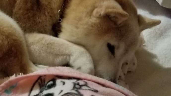 たぶん・・ばっかりで大丈夫？