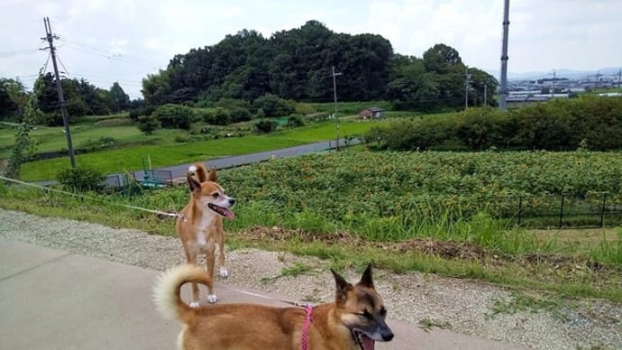 夏休み2022・1日目