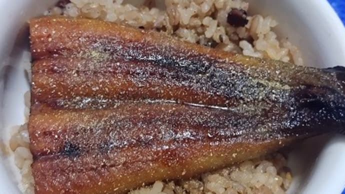 【04/23晩御飯】三重県産鰻蒲焼尾側ミニ鰻丼、検査から帰宅して買いに行ったんだね:P