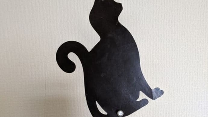 猫110番の家?😅