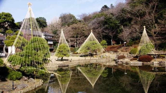 2023年 1月13日(金)の「文京区立肥後細川庭園」と「文京区立江戸川公園」