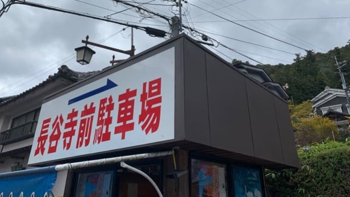 【西国三十三所観音霊場第八番 真言宗豊山派総本山 大和國 長谷寺】 『大観音特別拝観 紅葉 御朱印』 奈良県桜井市 