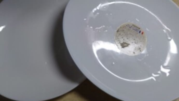 白いオーバルディッシュ 🍽️✨