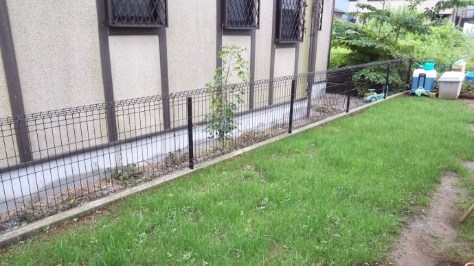 芝生を種から育てる 高麗芝へ変更 のブログ記事一覧 天馬空を行く 芝生を種から育てる 高麗芝へ変更 のブログ記事一覧 天馬空を行く