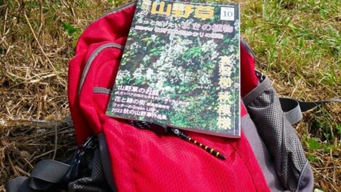 再度、平尾台へ!