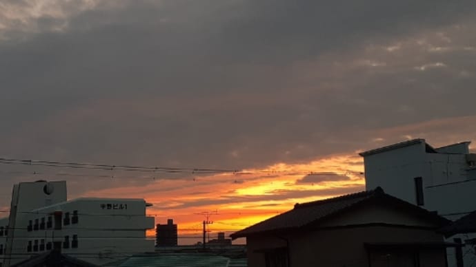 人間ドッグの結果