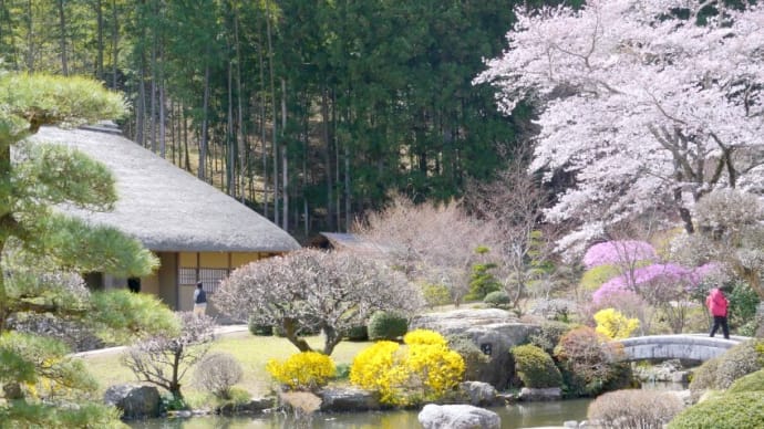 彩の国は・・・比企の里のハシゴ桜・・・「和紙の里」から「下里分校」、「笛吹峠」