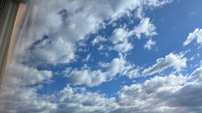 出張明けの休業日