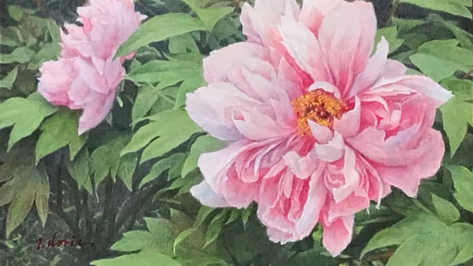 牡丹図 F4 oil on panel