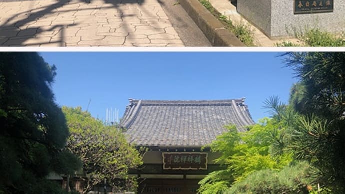 日曜の不忍池は外国人観光客で一杯でした。更に人出が多いアメ横はスルーしました。