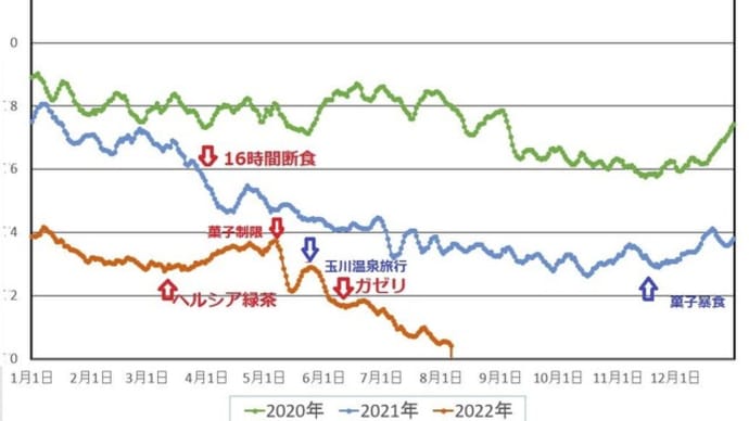 次は『筋肉量』を