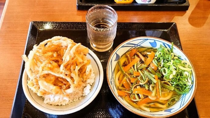 丸亀製麺(千葉ニュータウン中央店)で山菜うどん(並)+白ごはん+野菜かき揚げ(2023年11月15日)