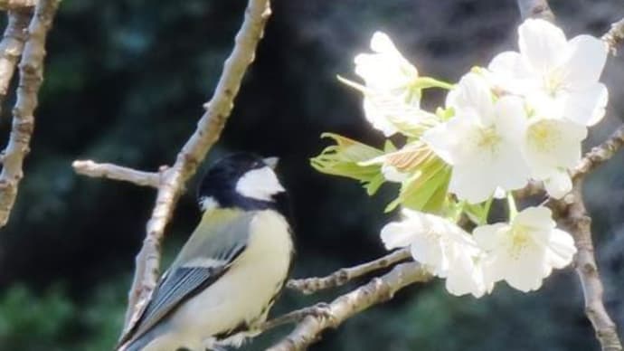 鈴の宮公園