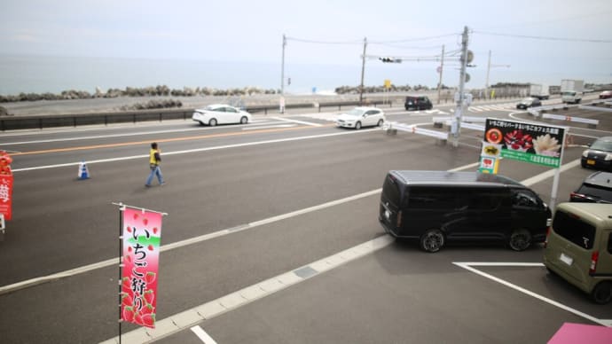 いちご街道 久能海岸150号線
