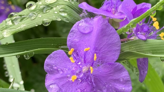 雨の日は.....