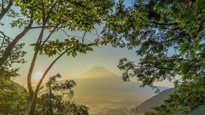2020 8月EOM・毛無山・体力測定