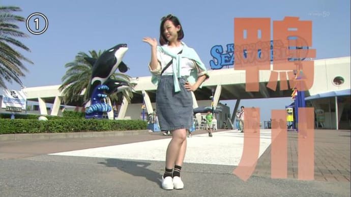 アド街コレクション 鴨川