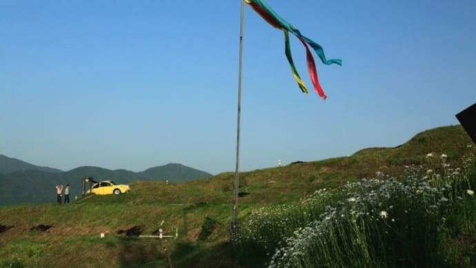 珍客