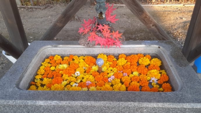 令和四年 霜月花手水