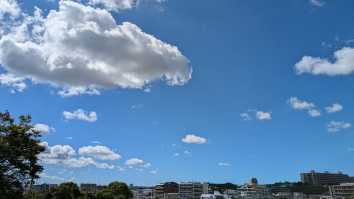 空を見ながらテレワーク😌🍀