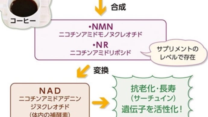 ☕️ コーヒーで若返る?長寿遺伝子を活性化する「ニコチン酸」がカギ 202112