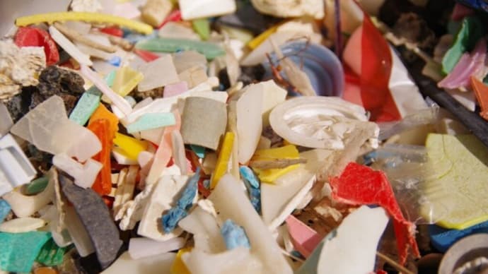 マイクロプラスチックが脳を含む主要臓器に及ぼす潜在的影響、科学的に明らかに(上)
