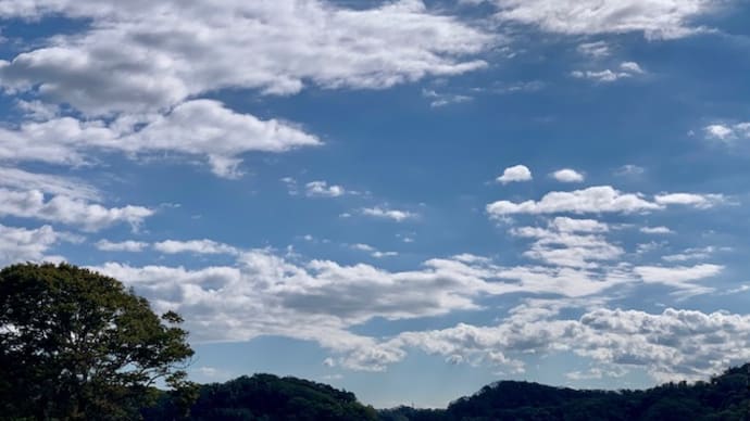 秋晴れに誘われて