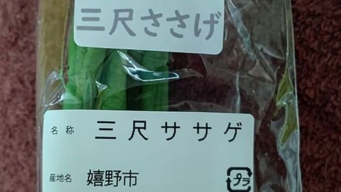 名前に惹かれて購入・三尺ササゲ