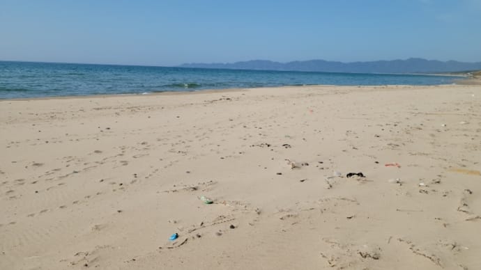 漂流物