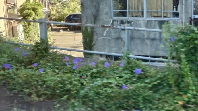 何か気持ち悪いんだよね。