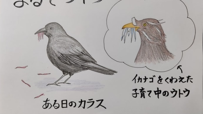 みみずロード