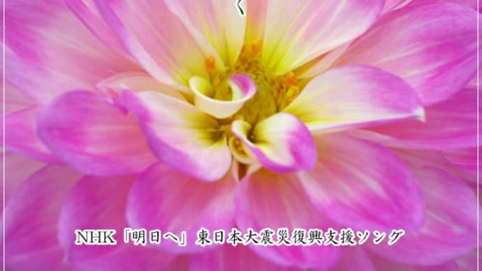 【Piano】NHK「明日へ」東日本大震災復興支援ソング...「花は咲く」を弾きました